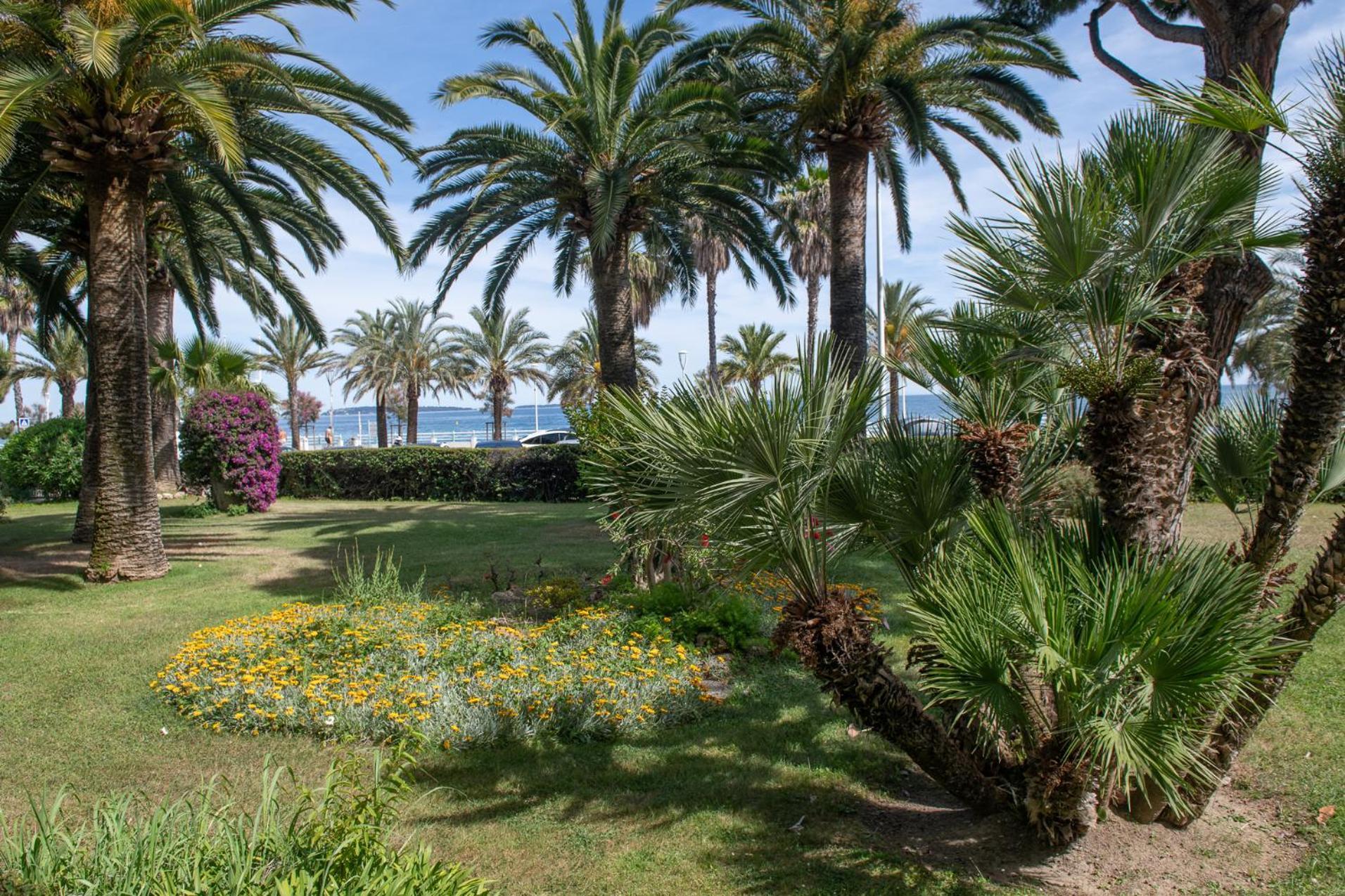 New! Sea View - Beachfront Living In Cannes, Boulevard Du Midi - Nouveau! Vue Mer, Face A La Plage, Les Pieds Dans L'eau Appartamento *