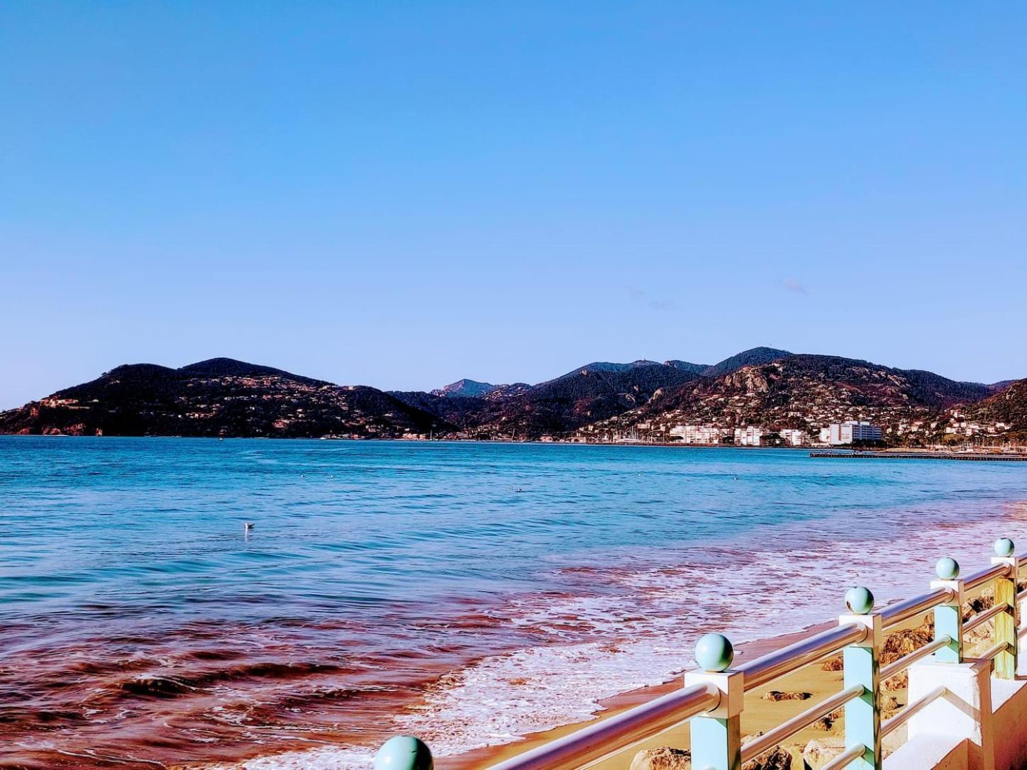 New! Sea View - Beachfront Living In Cannes, Boulevard Du Midi - Nouveau! Vue Mer, Face A La Plage, Les Pieds Dans L'eau Apartment Cannes