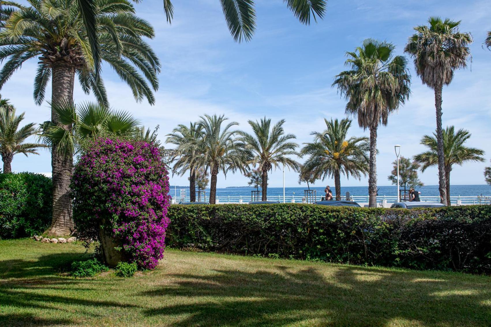 Apartment New! Sea View - Beachfront Living In Cannes, Boulevard Du Midi - Nouveau! Vue Mer, Face A La Plage, Les Pieds Dans L'eau *